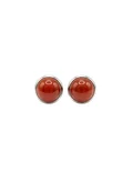 British Fossils Carnelian