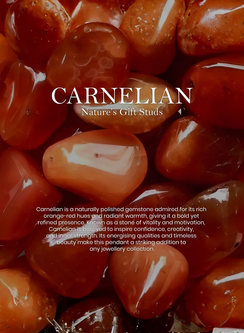 British Fossils أقراط قرط هدية الطبيعة بالكارنيليان