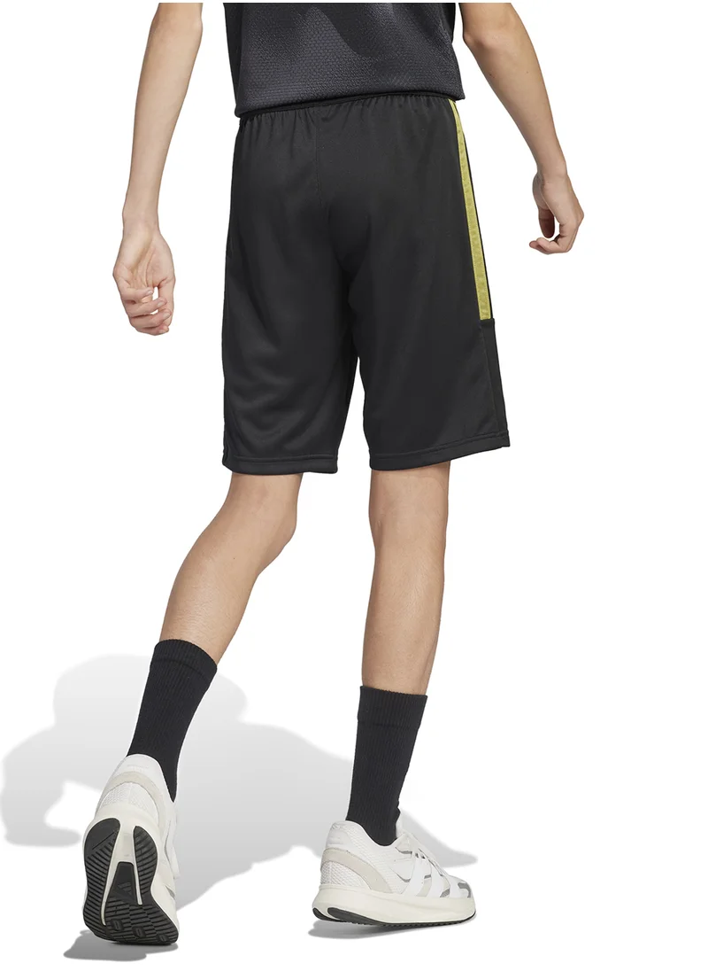 Adidas Youth House Of Tiro Colors Of Football Shorts