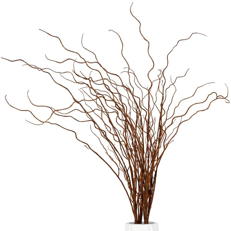 Srifoliage Artificial Plants Faux Greenery Eucalyptus Stems,Faux Branches for Vase Filler,Artificial Ficus Twig Branches Stems for Shop Garden Office Home DÃ©cor (3, Stems02) - Image 1