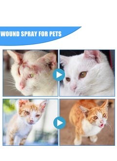 Pet Wound Care 30ml: Wound and Skincare - Liquid Spray for Dogs, Cats & Animals | For Broken & Itchy Skin | Helps Prevent Infectio ns | Alcohol-Free - pzsku/Z9EBEF49631A1C1CA1D81Z/45/_/1735629579/671a8986-f9d8-41a2-847f-614d0275efbf