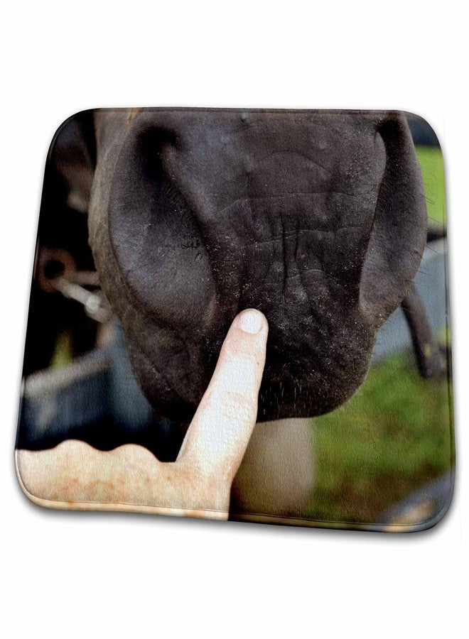 3DROSE Dish Drying Mat - tag your it finger on muzzle horse Animals Horse - Image 1
