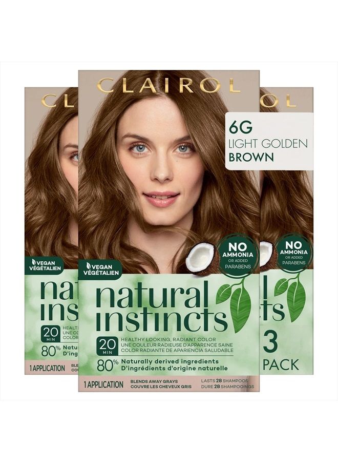 CLAIROL صبغة شعر ديمي دائمة من ناتشورال إنستينكتس، 6G بني ذهبي فاتح، عبوة من 3 - Image 1