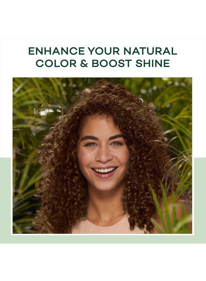 CLAIROL صبغة شعر ديمي دائمة من ناتشورال إنستينكتس، 6G بني ذهبي فاتح، عبوة من 3 - Image 3