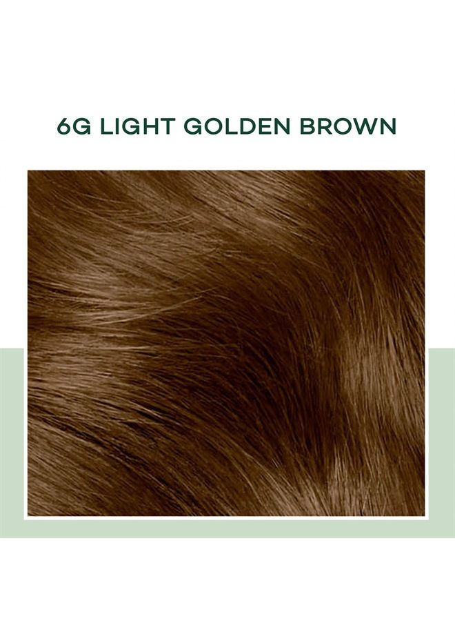 CLAIROL صبغة شعر ديمي دائمة من ناتشورال إنستينكتس، 6G بني ذهبي فاتح، عبوة من 3 - Image 2