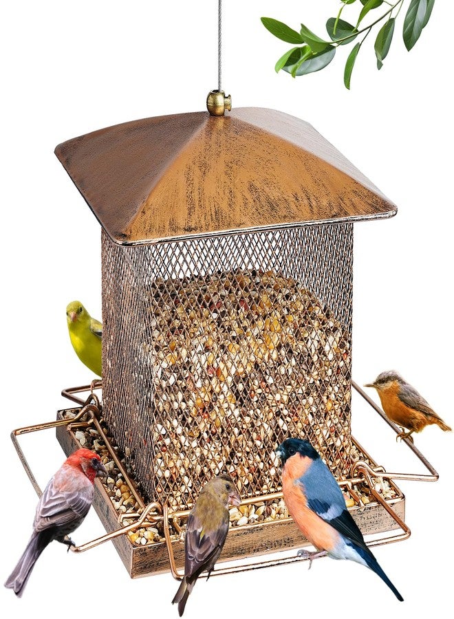 IWNTWY Bird Feeder, Heavy Duty Metal Bird Feeders for Outdoor Hanging, Wild Birdfeeder with Squirrel Proof Buckle for Garden Yard Outside Backyard, 3.5LB Large Capacity - Image 1