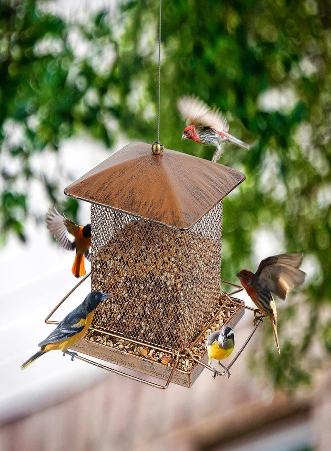 IWNTWY Bird Feeder, Heavy Duty Metal Bird Feeders for Outdoor Hanging, Wild Birdfeeder with Squirrel Proof Buckle for Garden Yard Outside Backyard, 3.5LB Large Capacity - Image 5