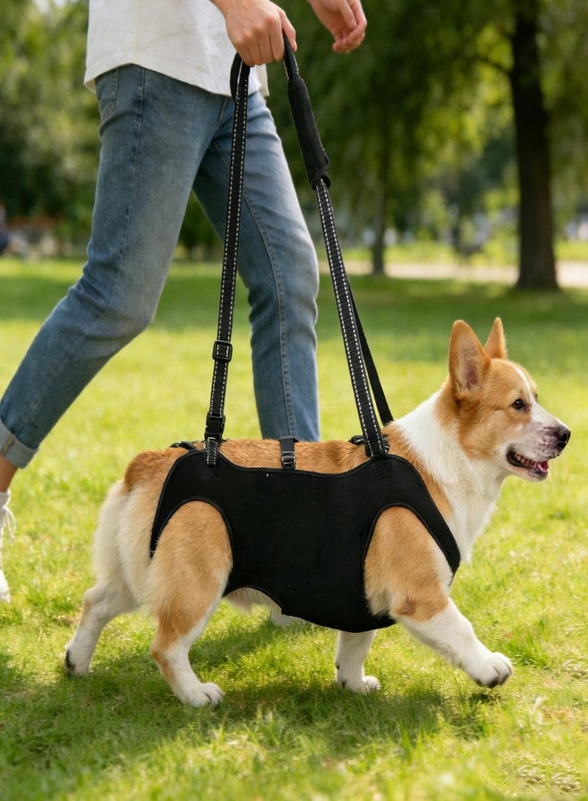 INKNOTE Dog Lift Harness with Pocket Full Body Dog Harness with Adjustable Handle Dog Carrying Sling Pet Legs Support Sling for Senior Dogs Joint Injuries Post Surgery Recovery Hiking,Black,L - Image 3