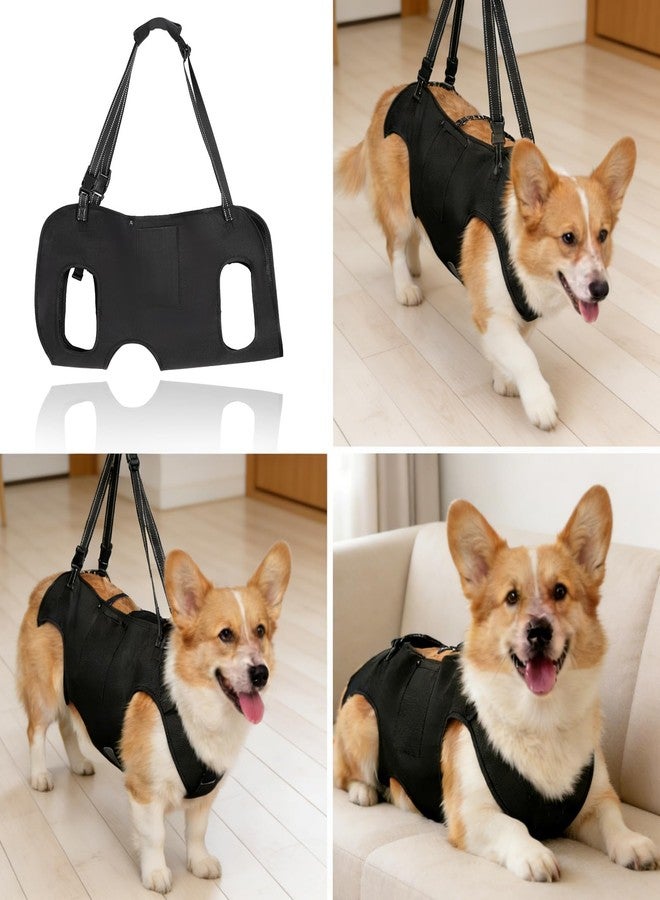 INKNOTE Dog Lift Harness with Pocket Full Body Dog Harness with Adjustable Handle Dog Carrying Sling Pet Legs Support Sling for Senior Dogs Joint Injuries Post Surgery Recovery Hiking,Black,L - Image 2