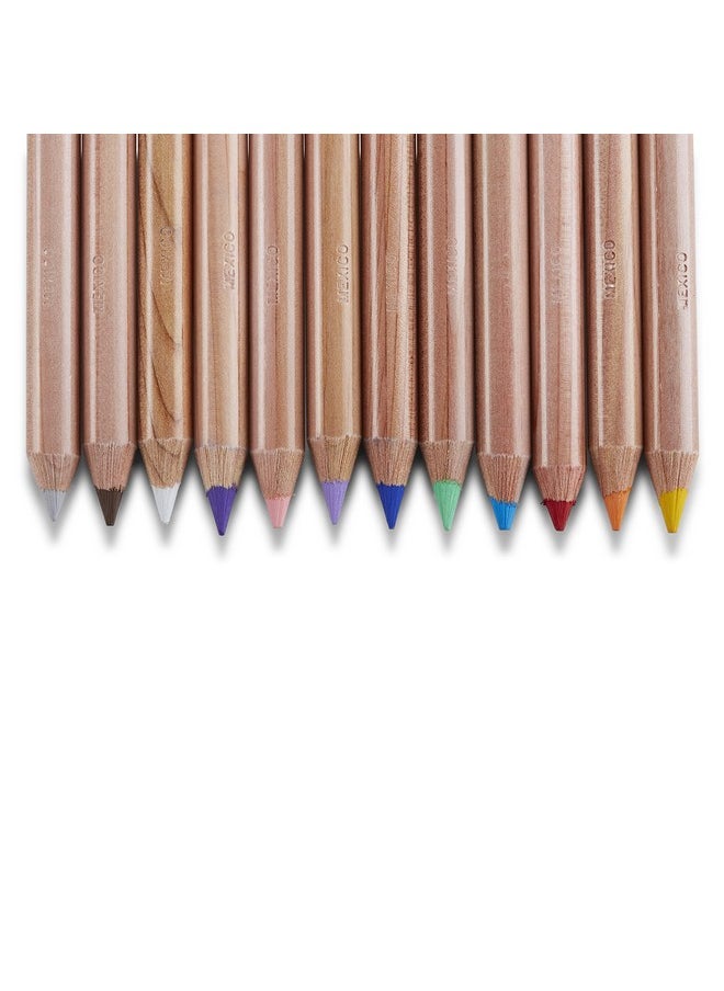 Prismacolor مجموعة أقلام الرصاص الملونة القابلة للذوبان في الماء من Premier Color Pencils، ألوان متنوعة، 36 قطعة  - Image 5