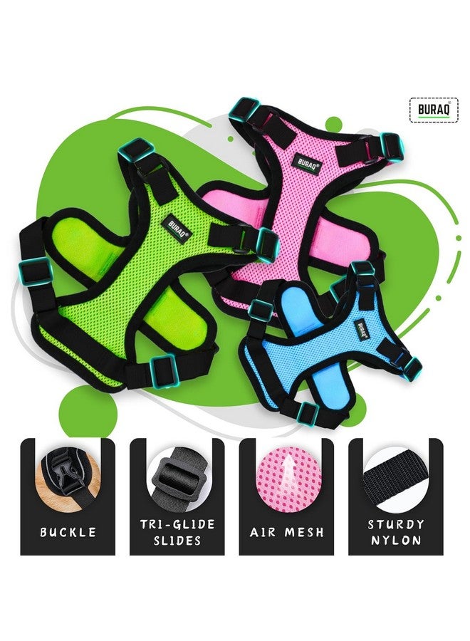 Buraq Pets Escape Proof No Pull Cat Harness with Leash for Outdoor, Walking, Air Mesh Fabric, Easy Control, Adjustable & Durable Cat Leash (S, Orange) - Image 4