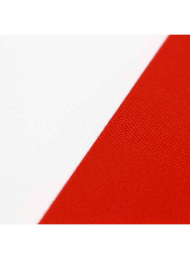 THE BABA Poland Flag 2'X3' (60X90Cm) For Euro 2024 - Good Quality - Indoor And Outdoor Use  - Image 3