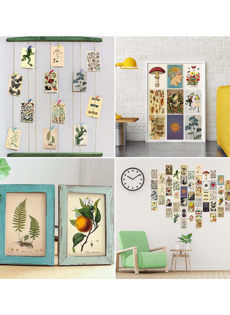 SYOSI - Vintage Wall Collage Kit, Botanical Wall Collage Cards, Trendy Small Poster, Aesthetic Pictures, for Dorm, Bedroom Decor for Teens Boys Girls - Image 1