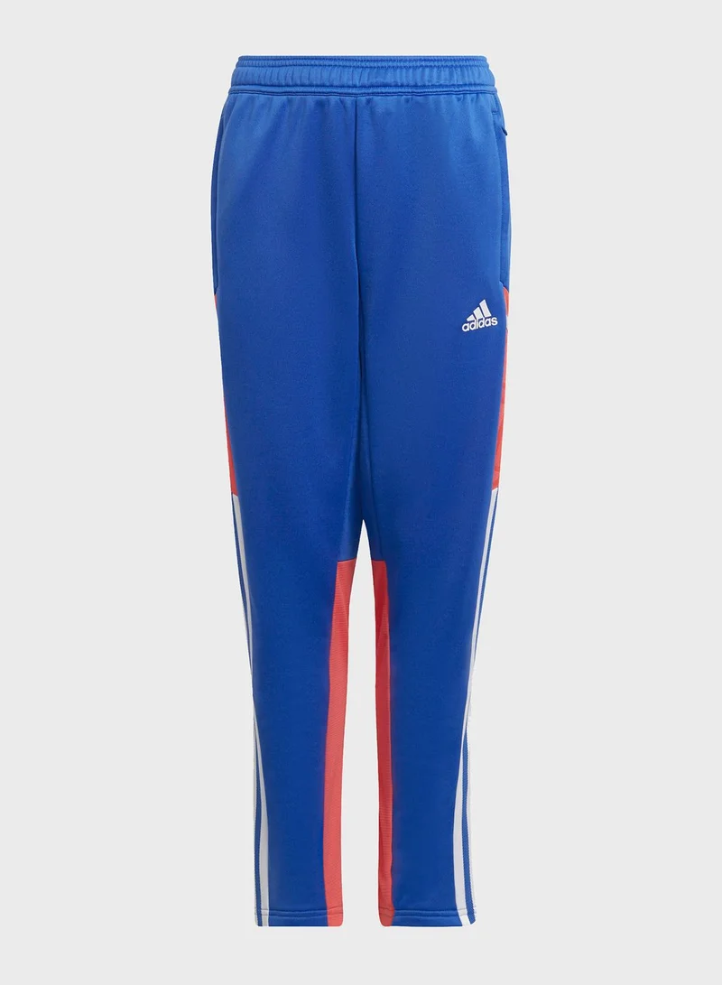 adidas بنطال كونديفو بريداتور