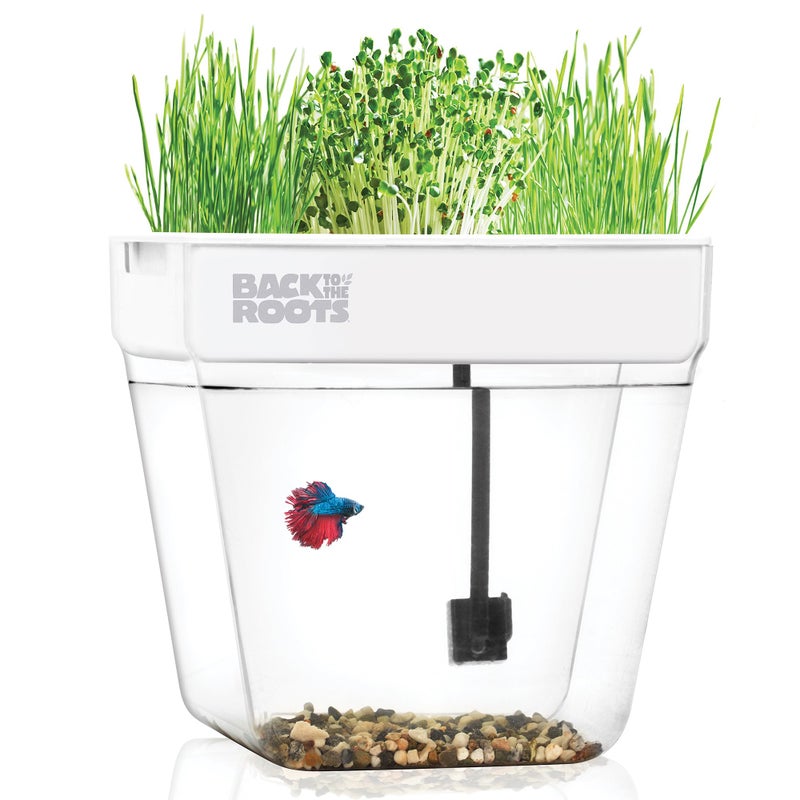 Back to the Roots حديقة أكوابونيك داخلية من باك تو ذا روتس - 3 جالون سقي ذاتي، وعاء زراعة خالي من الفوضى وحوض سمك ذاتي التنظيف للأعشاب، والميكروجرين، والخيزران، والنباتات العصارية، ونباتات المنزل، تدعم الأسماك - Image 1