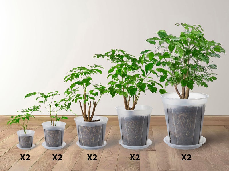 TineDew Large Clear Nursery pots for Plants with Saucers,10 pcs 9.5/8.3/7/6/5 inch Thick Plastic Nursery pots for Plants with Drainage Holes for Monstera,Aroid - Image 2