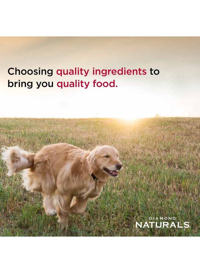 Diamond Naturals Adult Real Meat Recipe Premium Dry Dog Food With Real Pasture Raised Lamb Protein 6Lb - Image 3