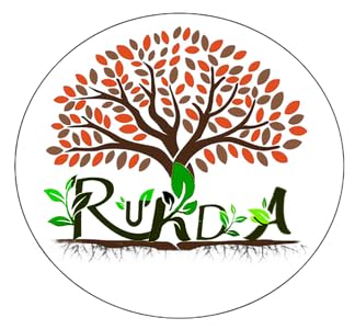 RUKDA Natural Black Rock for Aquariums, Gardens, and Home Decor – Premium Decorative Stones for Aquatic Environments, Terrariums, Landscaping, and Interior Design - 3kg - Image 5
