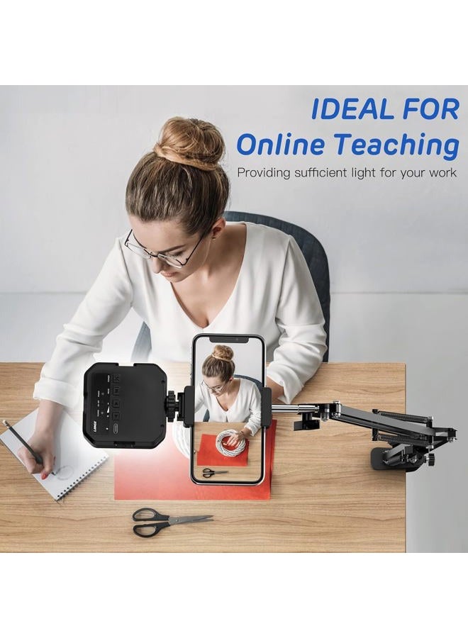 Overhead Phone Mount, Articulating Arm Cell Phone Holder with LED Light, Flexible Phone Stand for Live Streaming, Video Recording, Painting Lighting, Cooking