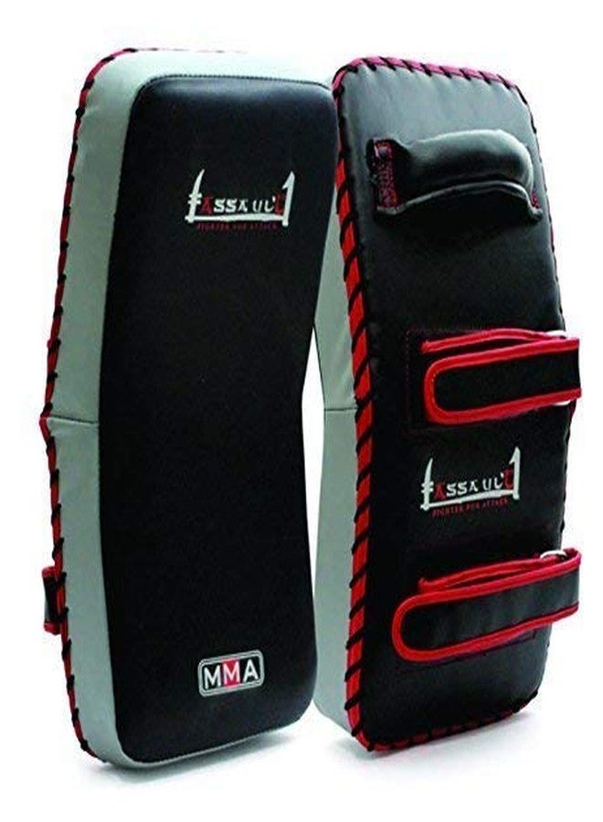 Massive Speed System XpeeD Pack of 2 (XP 1101) MMA Thai Punching Kick Boxing Karate Muay Training Martial Arts Target Focus Curved Strike Arm Shield Big Standard Pad Senior/Men/Adult Size Perfect for Training Practice - Image 3