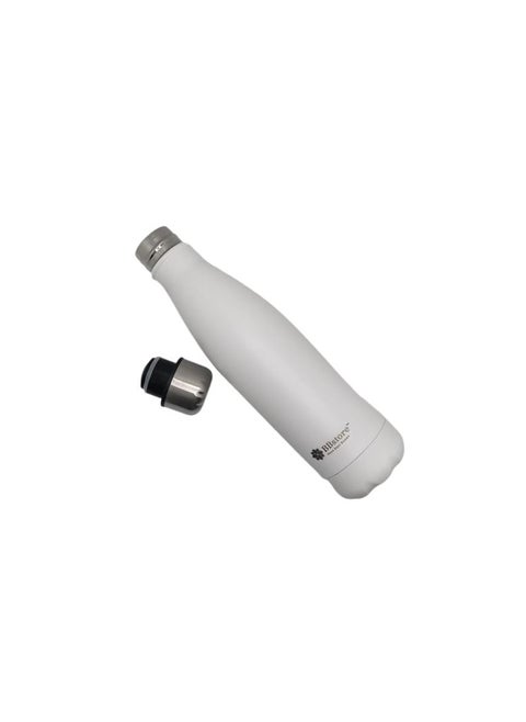 BBstore Double Layer Stainless Steel Leak Proof Water Bottle with Premium Look And Capacity 500ml