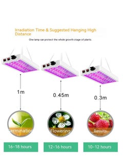 General Indoor Plant Grow Light 192/287 LED Full Spectrum Light Adjustable Swan Neck 2 Switching Modes for Indoor Grow Greenhouse Vegetables 1000 W, 12,402 x 7,874 x 1,575 in.  - Image 3