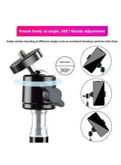 General Mobile Phone Live Broadcast Bracket Led Three-color Ring Fill Light Live Light Net Red Photography Fill Light Spot Wholesale-Specifications:160cm Bracket 10 Inch Fill Light Three-position Mobile Pho  - Image 4