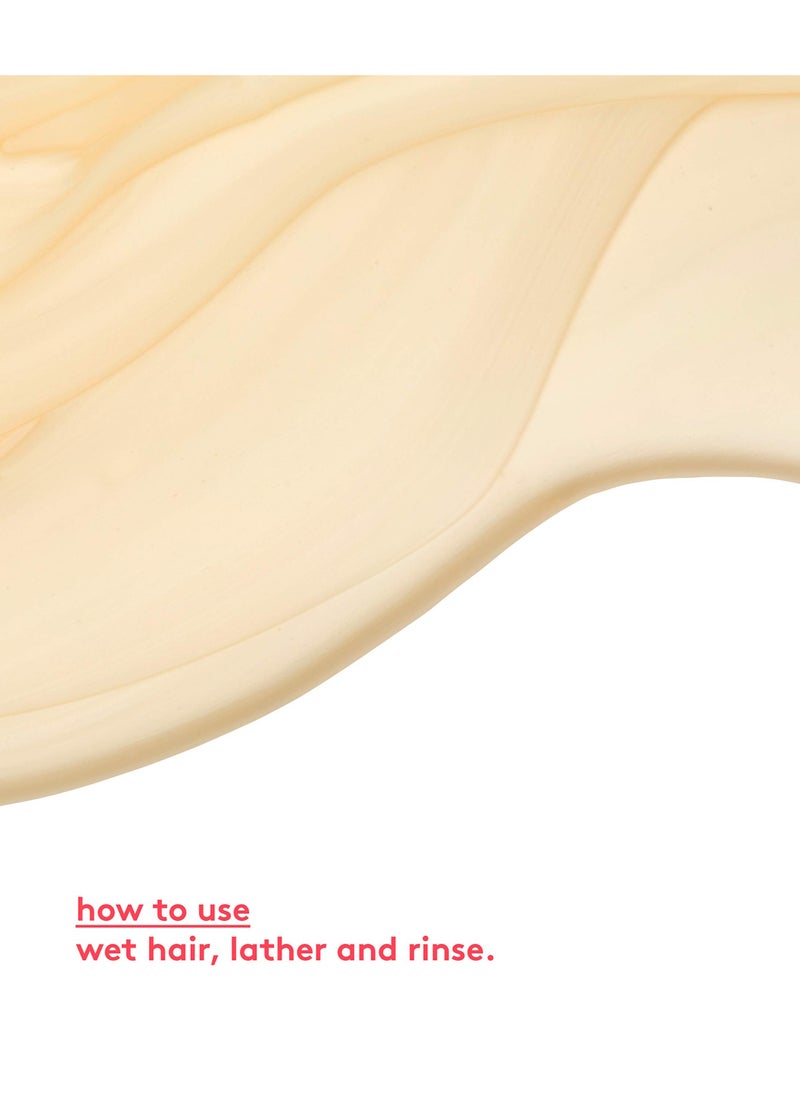 EVO Evo-ritual salvation shampoo 300ml  - Image 4