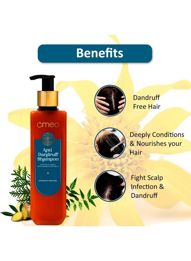 Omeo Festive Gift Hampers (Set of 4) | (Aloe Vera Gel + Anti Dandruff Shampoo + Coffee Body Wash + Calendula Face Wash) for Gifting 4 Items Gift Set - Image 2