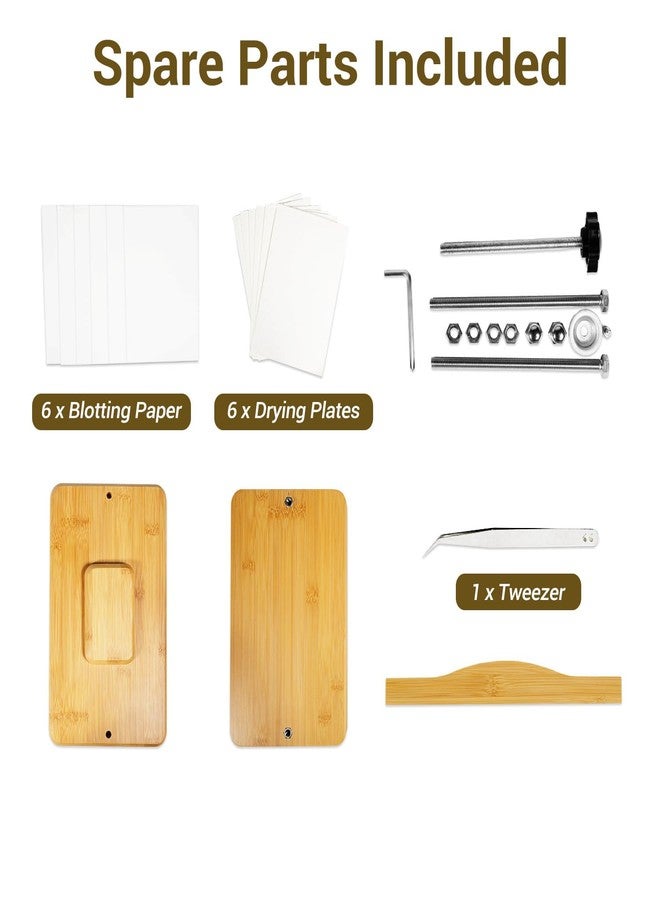Nuvograin Flower Press Kit, Plant Press Kit, Easy One-Step Pressing, 10 x 6 inch Wooden Flower Flower Pressing for Kids and Adults, Great Gift for DIY Flowers Lovers, Light Brown - Image 2
