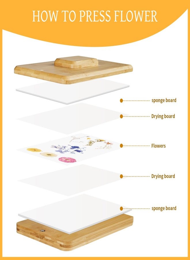 Nuvograin Flower Press Kit, Plant Press Kit, Easy One-Step Pressing, 10 x 6 inch Wooden Flower Flower Pressing for Kids and Adults, Great Gift for DIY Flowers Lovers, Light Brown - Image 3