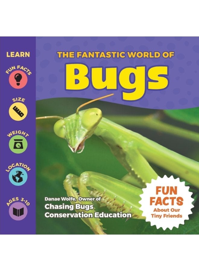 The Fantastic World of Bugs - Paperback