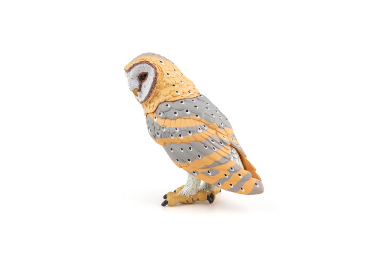 Papo -Hand-Painted - Figurine -Wild Animal Kingdom - Owl -53000 -Collectible - for Children - Suitable for Boys and Girls- from 3 Years Old - Image 2