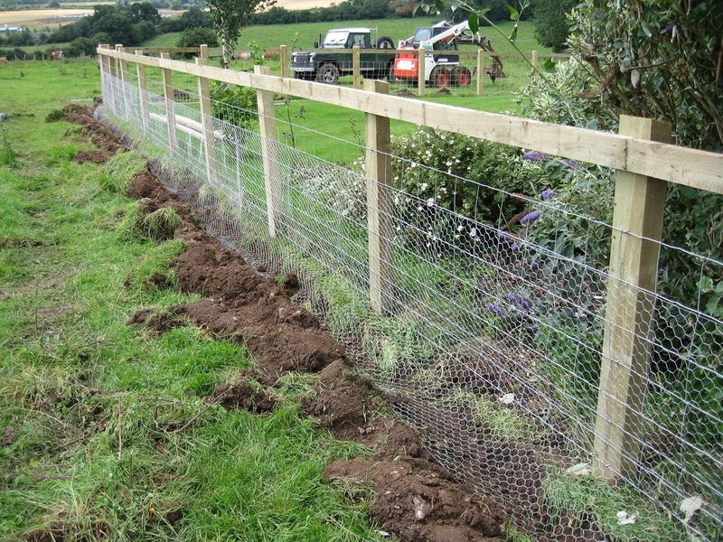 REDWIND Iron Tree Fencing Net/Bird Net Kabutar Jali HDPE 6 Months Guarantee (30 Inch Height/40 feet Length) UV Stabilized Heavy Anti Bird Net with Free 1 Cutter,100 PVC Tags Model NO:27 - Image 4