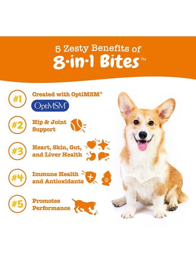 Zesty Paws - Multivitamin Treats For Dogs  Glucosamine Chondroitin For Joint Support + Digestive Enzymes & Probiotics  Grain Free Vitamin For Skin & Coat + Immune Health  Peanut Butter Flavor  90Ct - Image 1