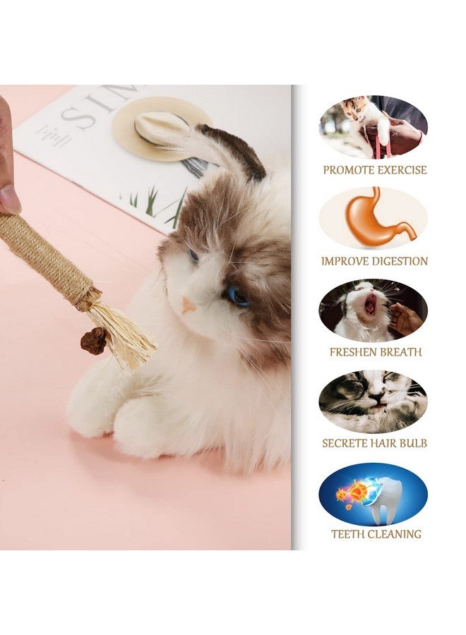 KINBOM 4pcs Cat Chew Toys Natural Silvervine Cat Dental Chew Sticks Cleaning Teeth Chew Catnip Toys for Cat Treat Cat Lick - Image 5