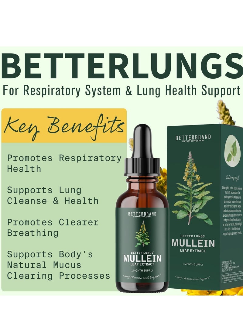 Mullein And Sparrow - Betterbrand BetterLungs Mullein Leaf Extract - Support Lung Cleanse & Respiratory Function for Healthy Breathing - Natural Supplement, Tincture Drops | Non-GMO, Vegetarian | 1 Month Supply - Image 1