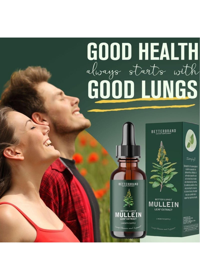 Mullein And Sparrow - Betterbrand BetterLungs Mullein Leaf Extract - Support Lung Cleanse & Respiratory Function for Healthy Breathing - Natural Supplement, Tincture Drops | Non-GMO, Vegetarian | 1 Month Supply - Image 1