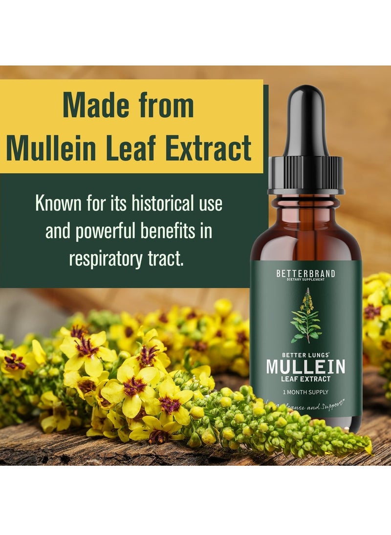 Mullein And Sparrow - Betterbrand BetterLungs Mullein Leaf Extract - Support Lung Cleanse & Respiratory Function for Healthy Breathing - Natural Supplement, Tincture Drops | Non-GMO, Vegetarian | 1 Month Supply - Image 1