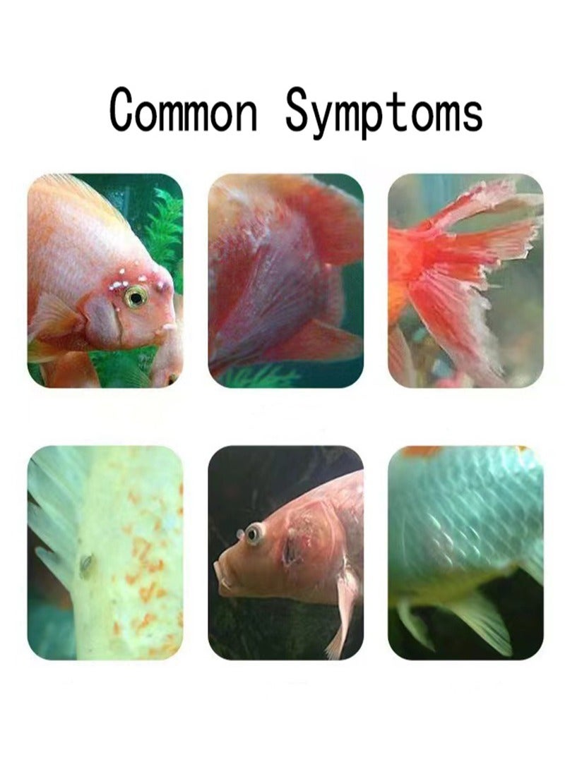 ايكانبو سائل ميثيلين أزرق للأحواض المائية، سعة 235 مل، لعلاج البقع البيضاء، ومكافحة عفن الماء، وتطهير وتعقيم بيض الأسماك - Image 2