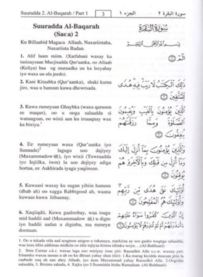 The Holy Qur’an and translation of its meanings into the Somali language 24*17 - Image 3
