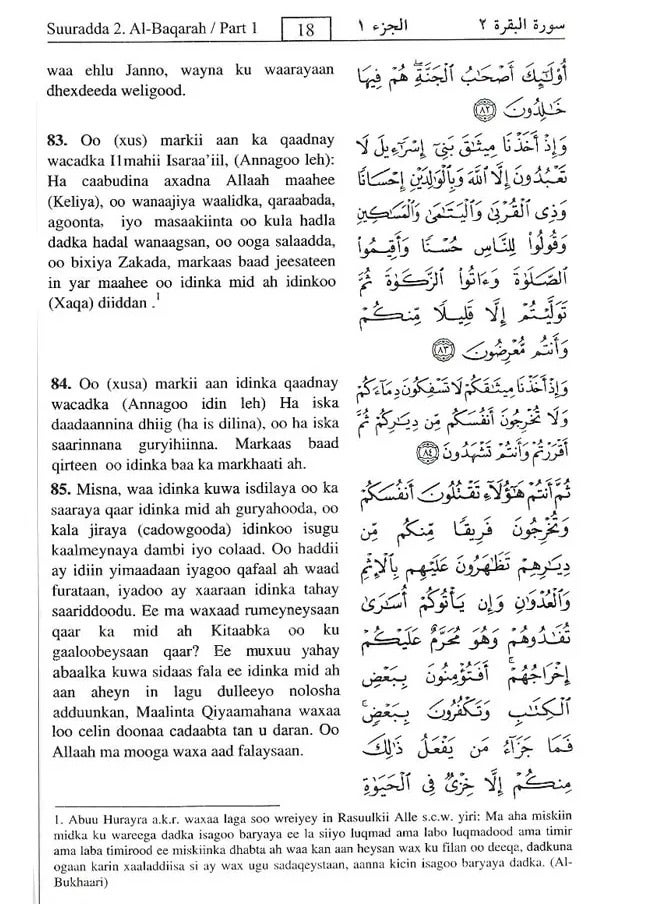 The Holy Qur’an and translation of its meanings into the Somali language 24*17 - Image 2