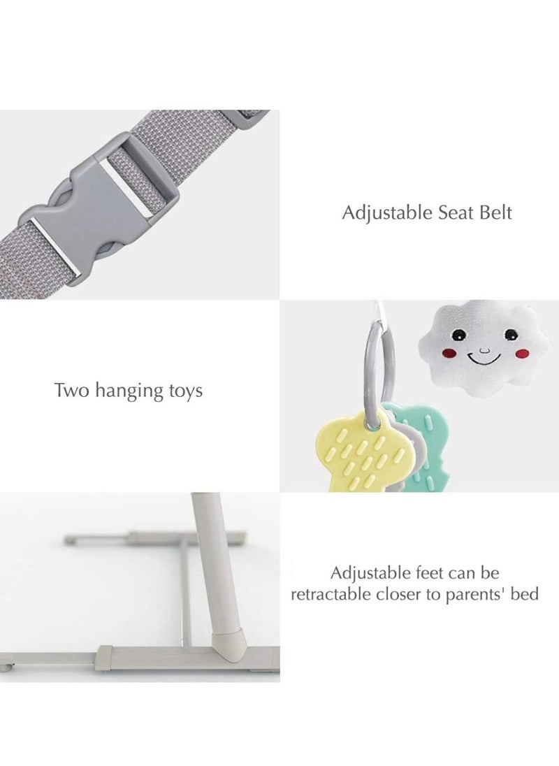 Bumble & Bird Bumble & Bird - Adjustable Bedside Bassinet W/ Wheels - Grey  - Image 3