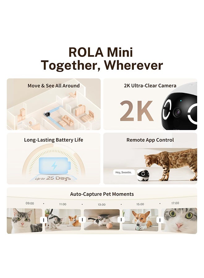اينابوت Enabot 2K Camera Robot ROLA Mini: كاميرا للحيوانات الأليفة قابلة للإزالة ، تعمل بالبطارية ، تطبيق الهاتف المحمول ، كاميرا داخلية مع تحدث بزر واحد ، تحدث ثنائي الاتجاه ، رؤية ليلية ، كشف الحركة ، تسجيل الفيديو - Image 2