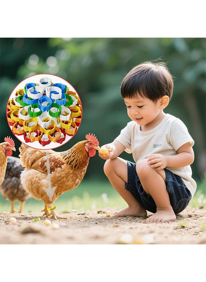 جيوستوس 150 قطعة حلقات ساق الدجاج ، والأشرطة المرقمة ، وملونة مقطع للدواجن على الكاحل لبط البطخشة حمام ، 5 ألوان - Image 5