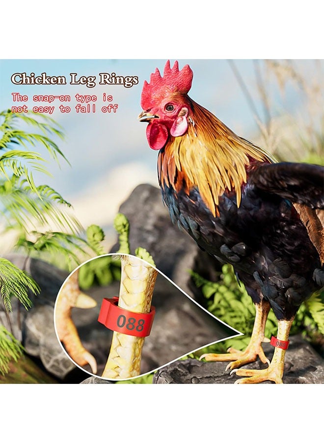 جيوستوس 150 قطعة حلقات ساق الدجاج ، والأشرطة المرقمة ، وملونة مقطع للدواجن على الكاحل لبط البطخشة حمام ، 5 ألوان - Image 3