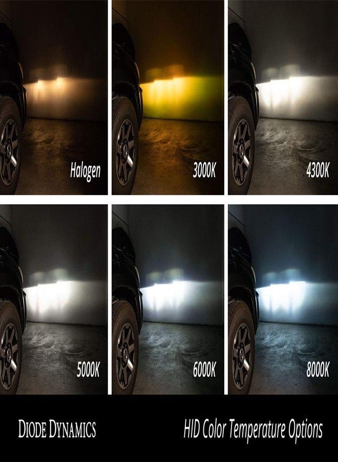 Diode Dynamics Replacement D2H HID Bulbs (pair), 6000K - Image 3