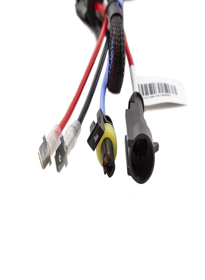 Diode Dynamics Replacement D2H HID Bulbs (pair), 6000K - Image 4