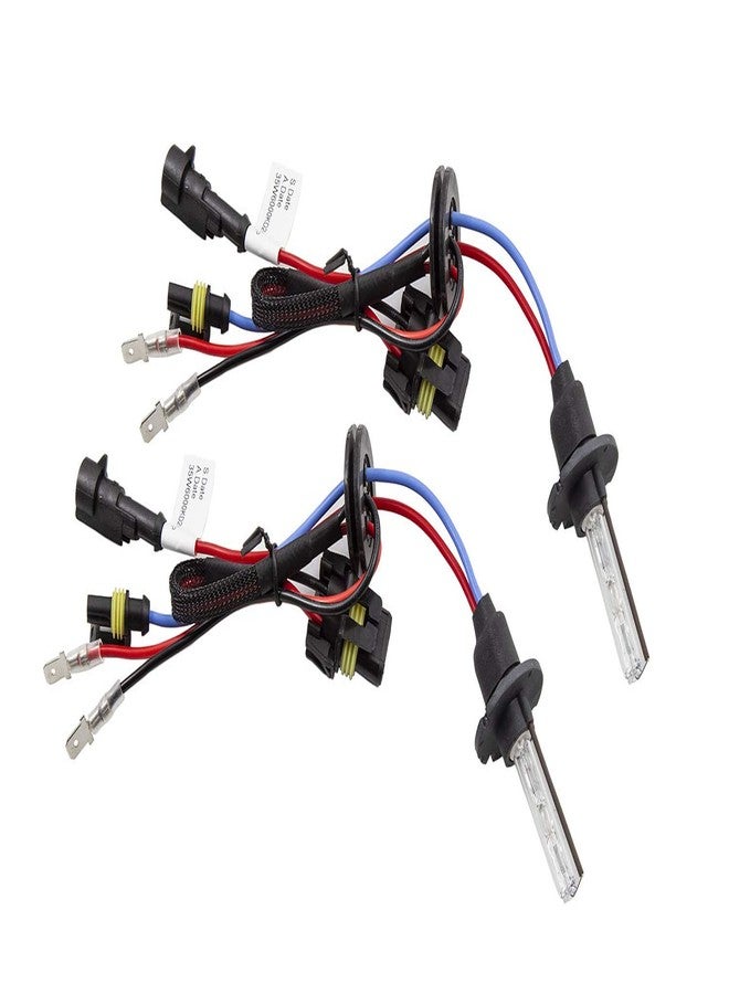 Diode Dynamics Replacement D2H HID Bulbs (pair), 6000K - Image 5