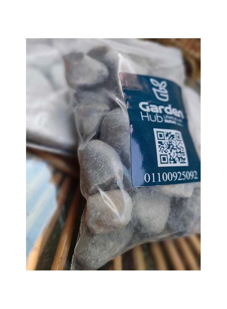 أحجار ديكورية من Garden Hub، ألوان مختلطة، حصى طبيعية للمناظر الطبيعية، عبوة من 3 قطع - Image 2